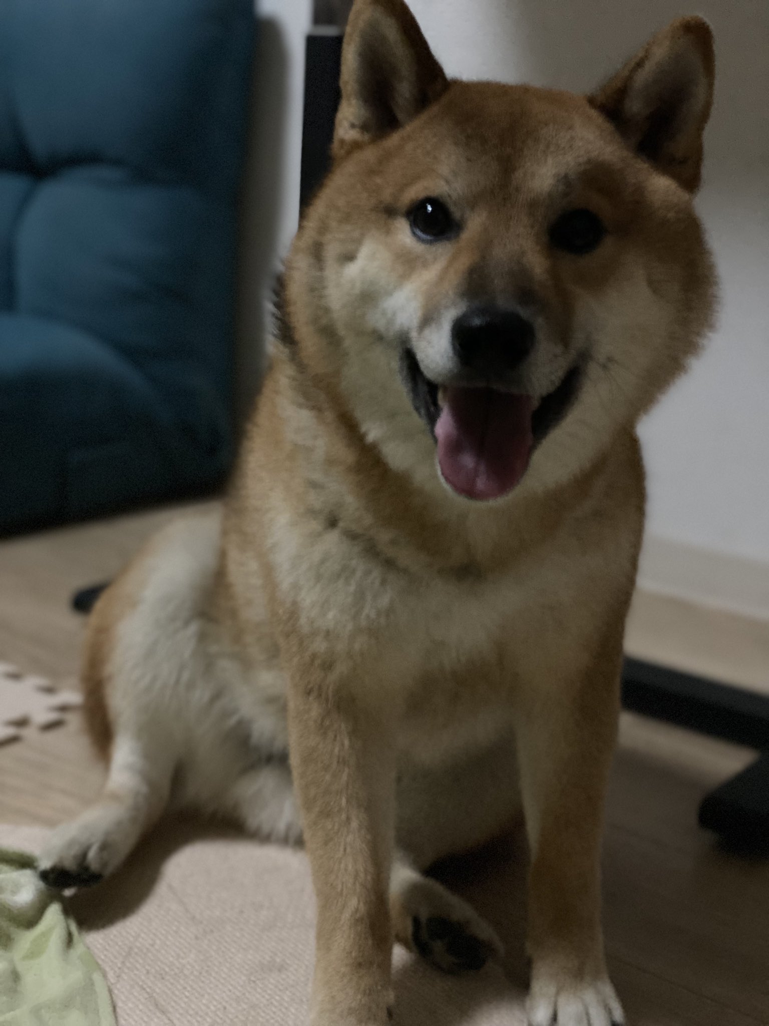 Artwork by ガロウ好き