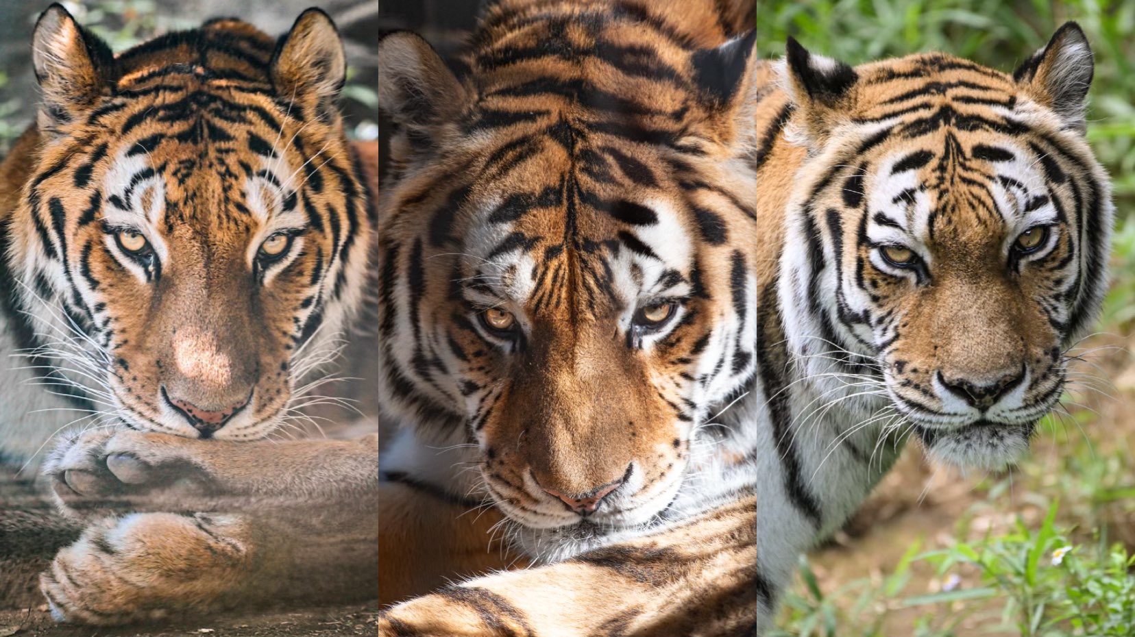 Artwork by じんせい