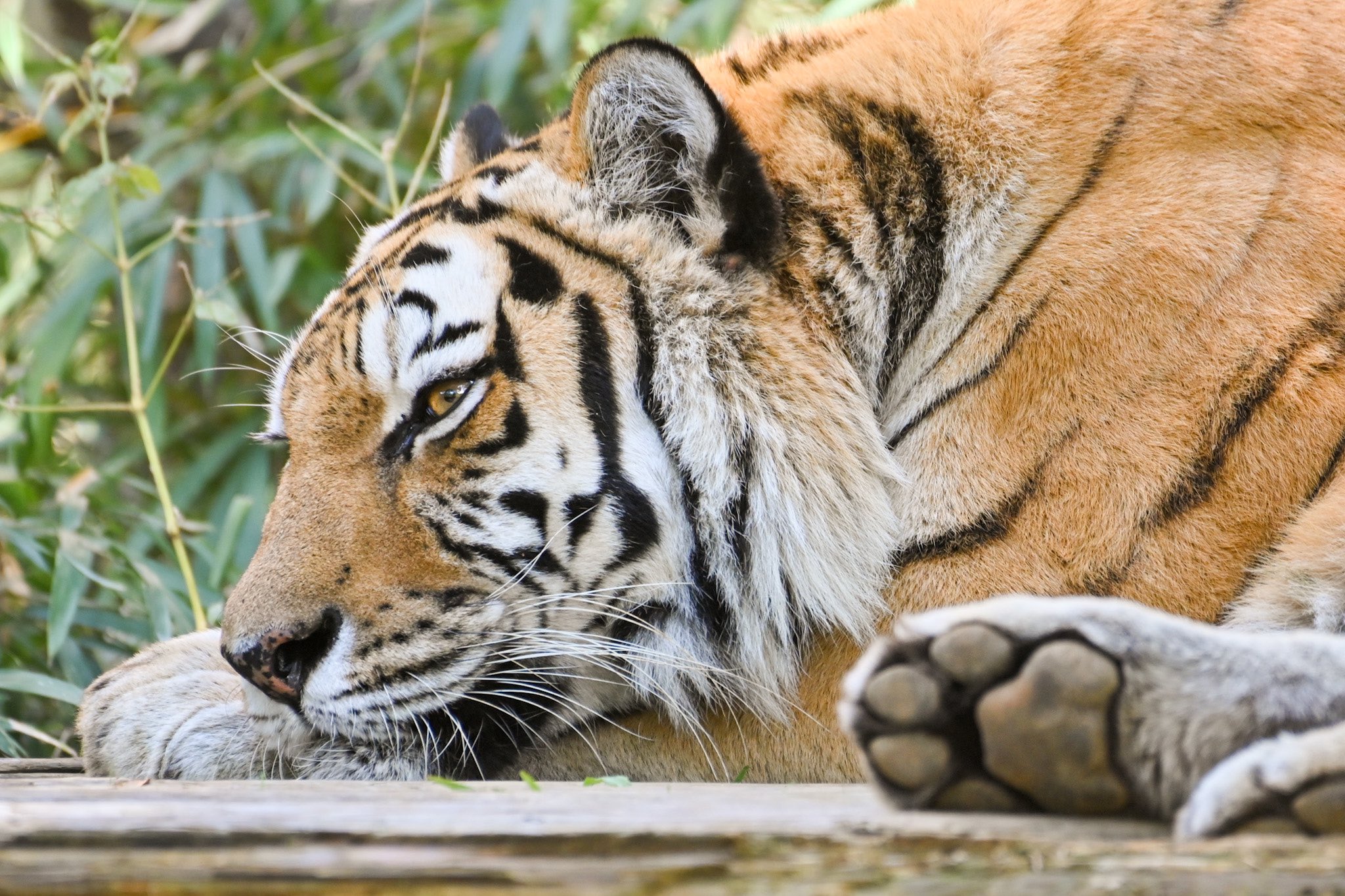 Artwork by じんせい