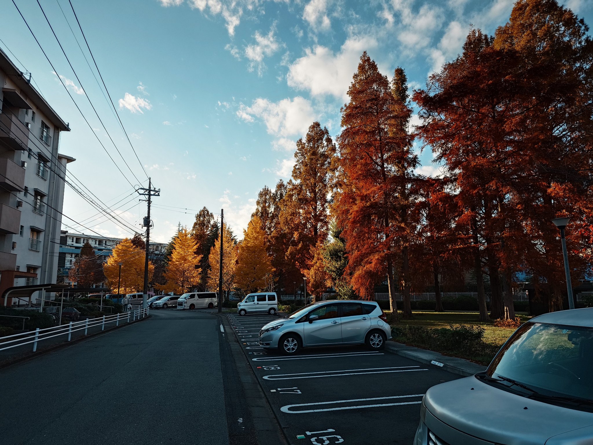 Artwork by Jesse Zhu @itjesse@tty.icu