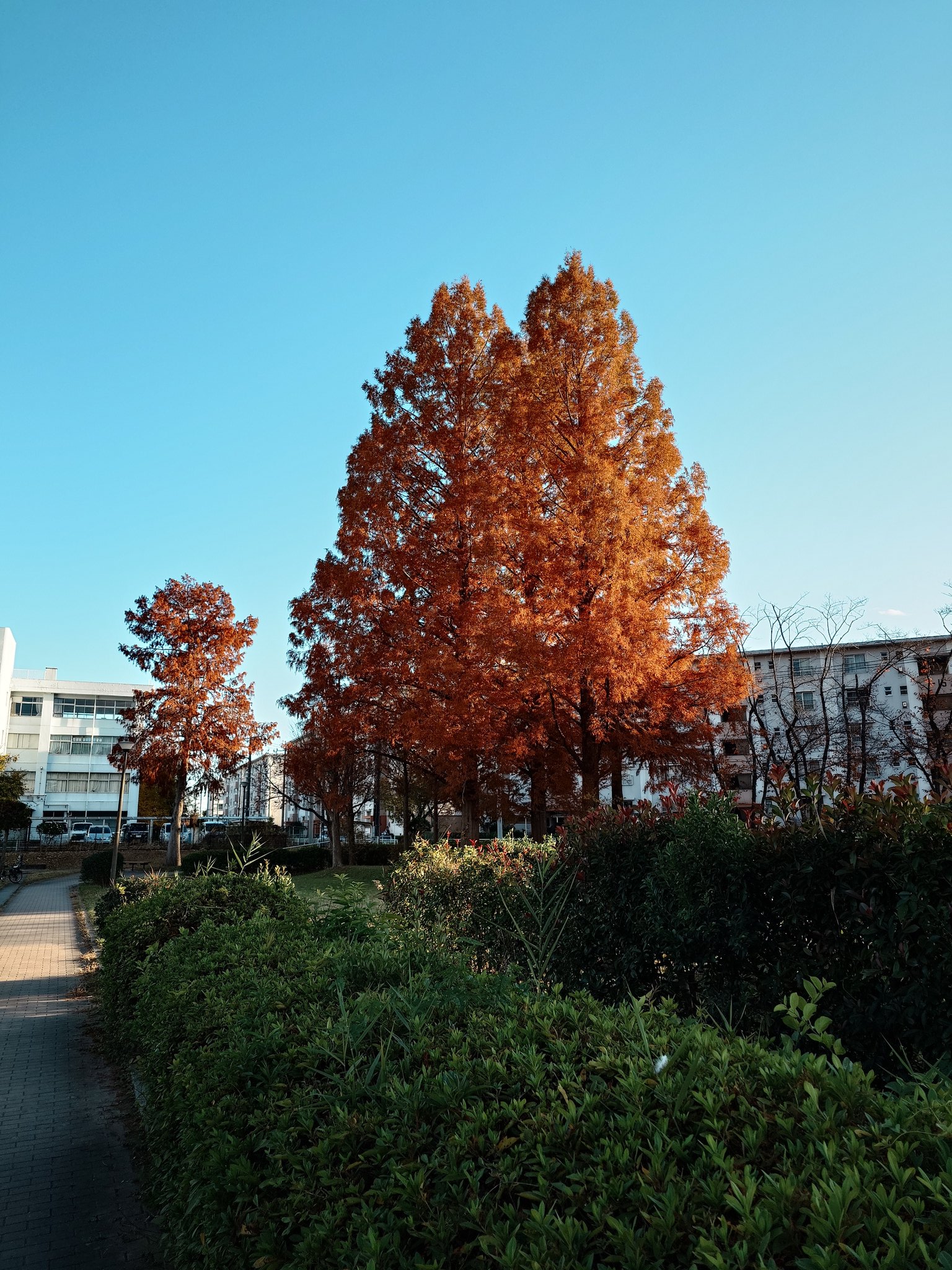 Artwork by Jesse Zhu @itjesse@tty.icu