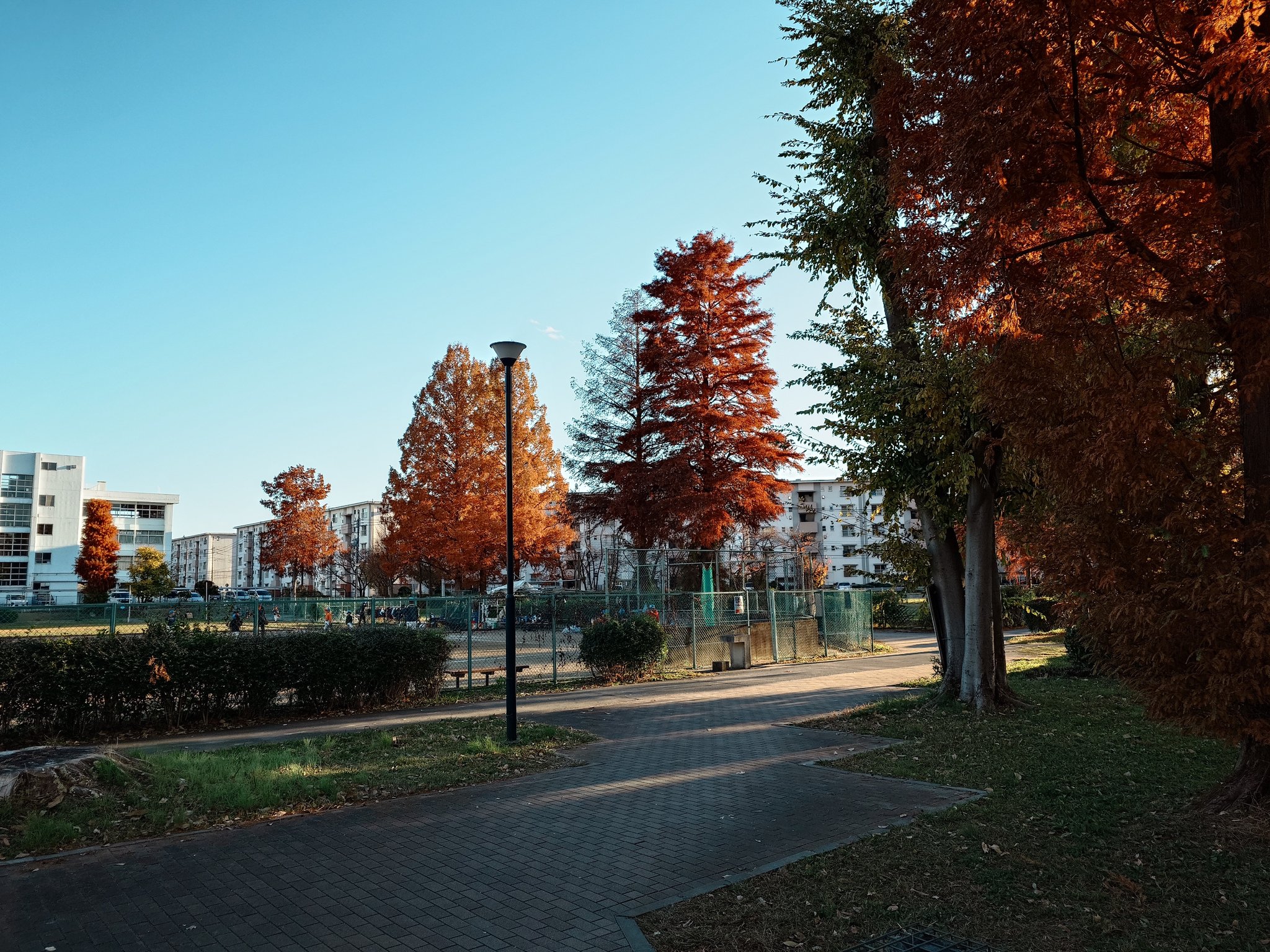 Artwork by Jesse Zhu @itjesse@tty.icu