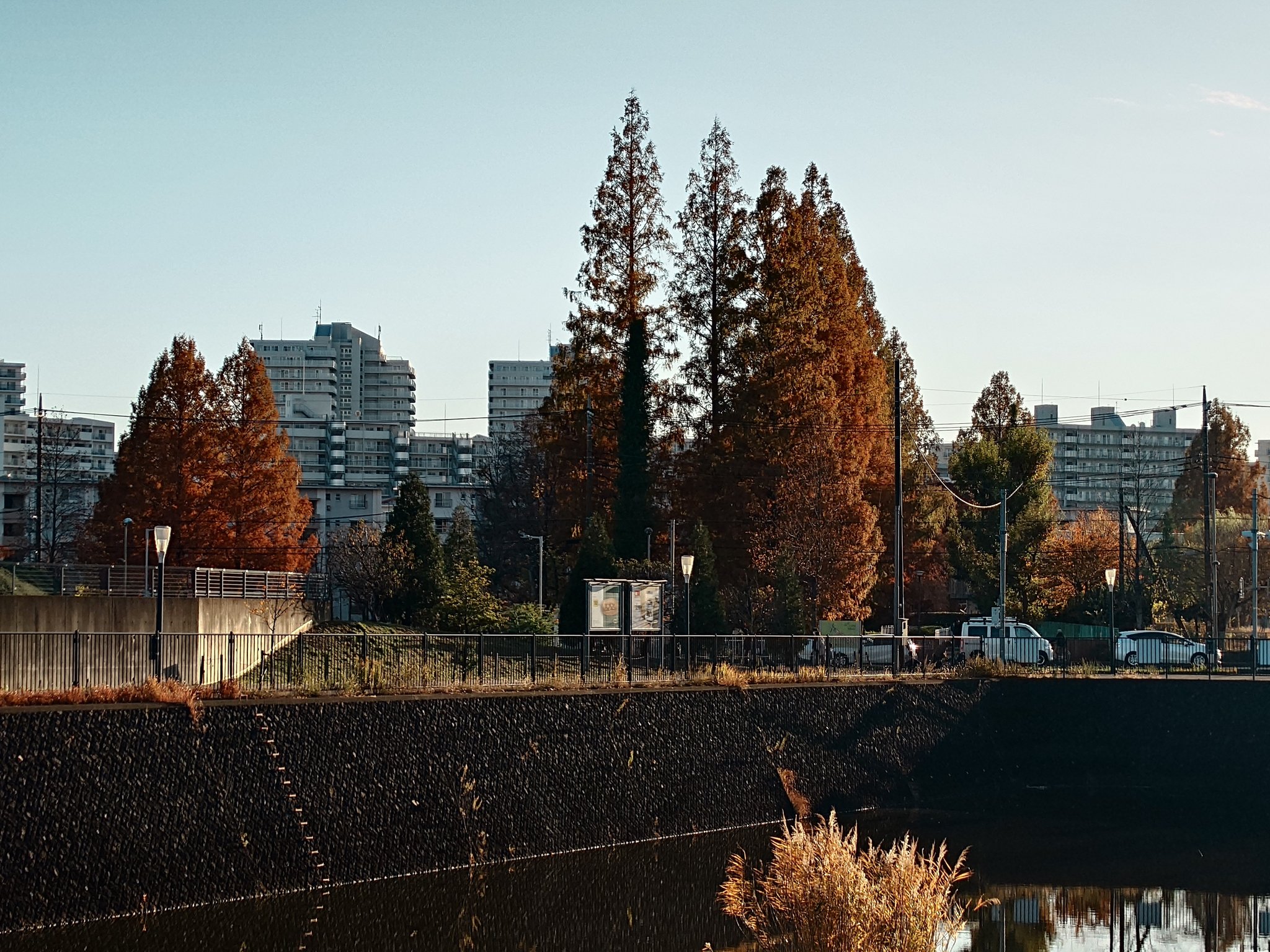 Artwork by Jesse Zhu @itjesse@tty.icu