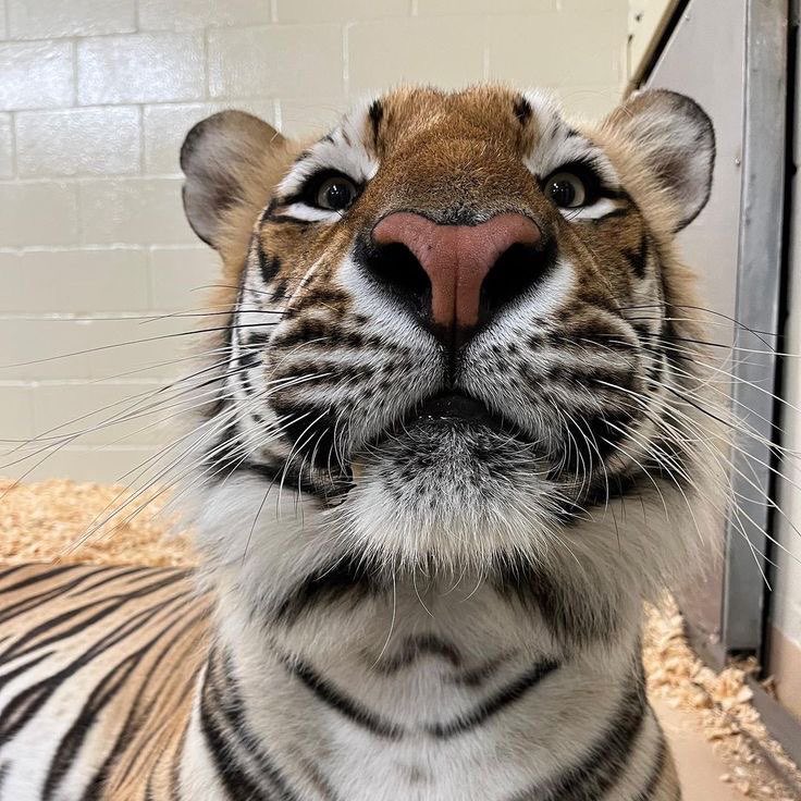 Artwork by Stynky 🎄🇵🇸