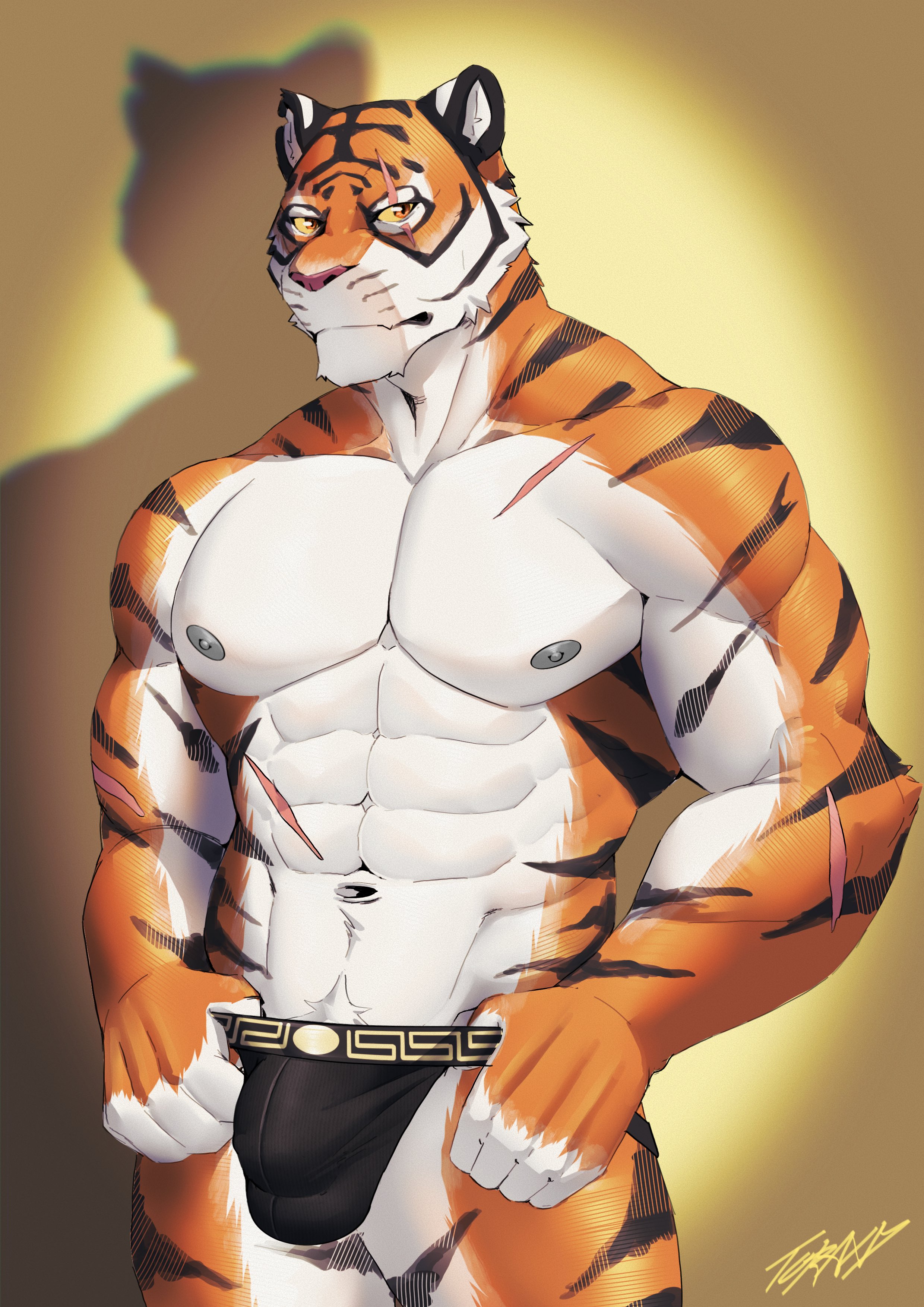 Artwork by TORAトラ☕