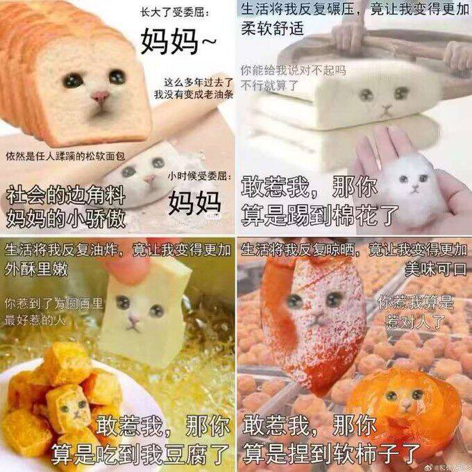 Artwork by 雪千羽Snowfox