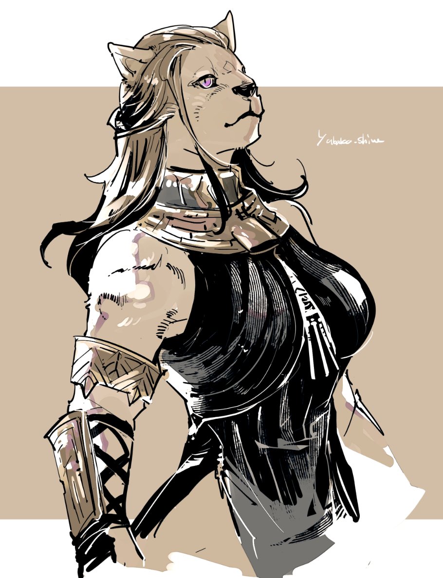 Artwork by しわ(shiwa)