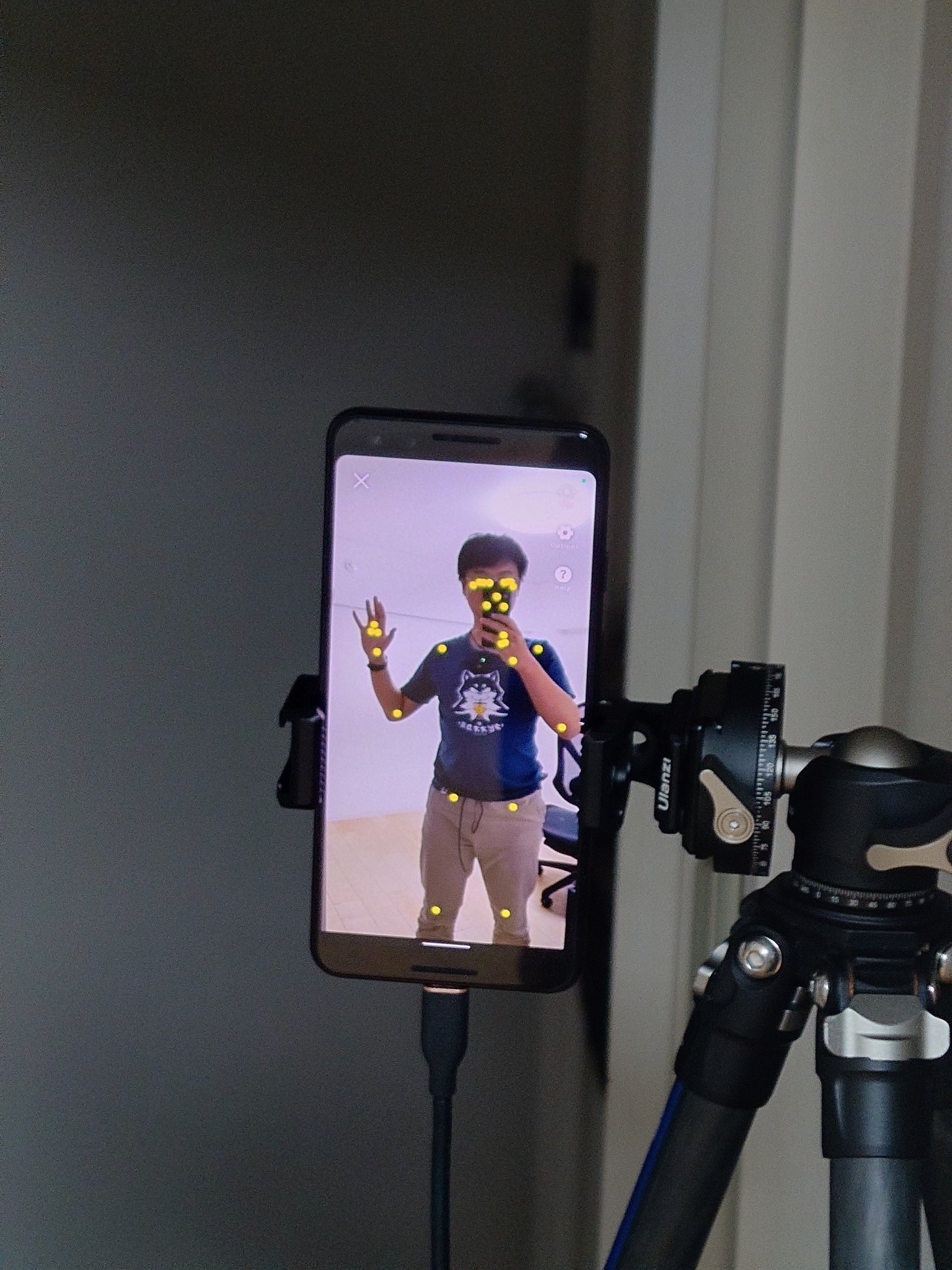 Artwork by Jesse Zhu @itjesse@tty.icu