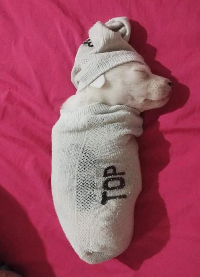 Artwork by Extern life sucks