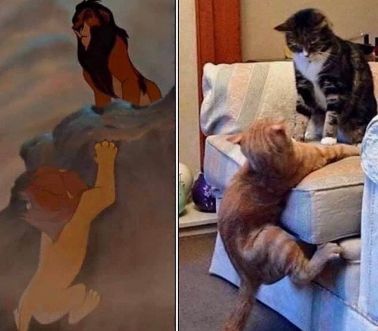 Artwork by Tweets of Cats