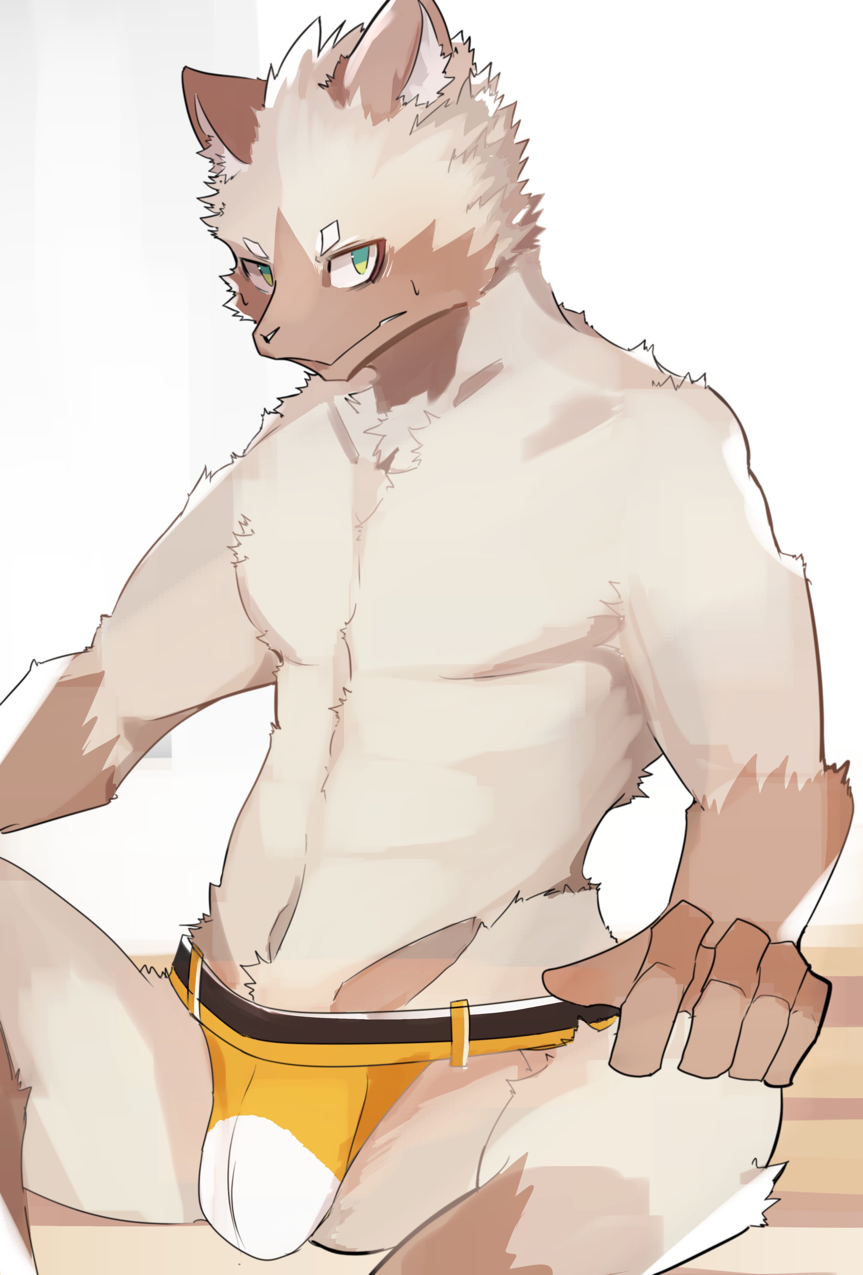 Artwork by のフジ(裏)