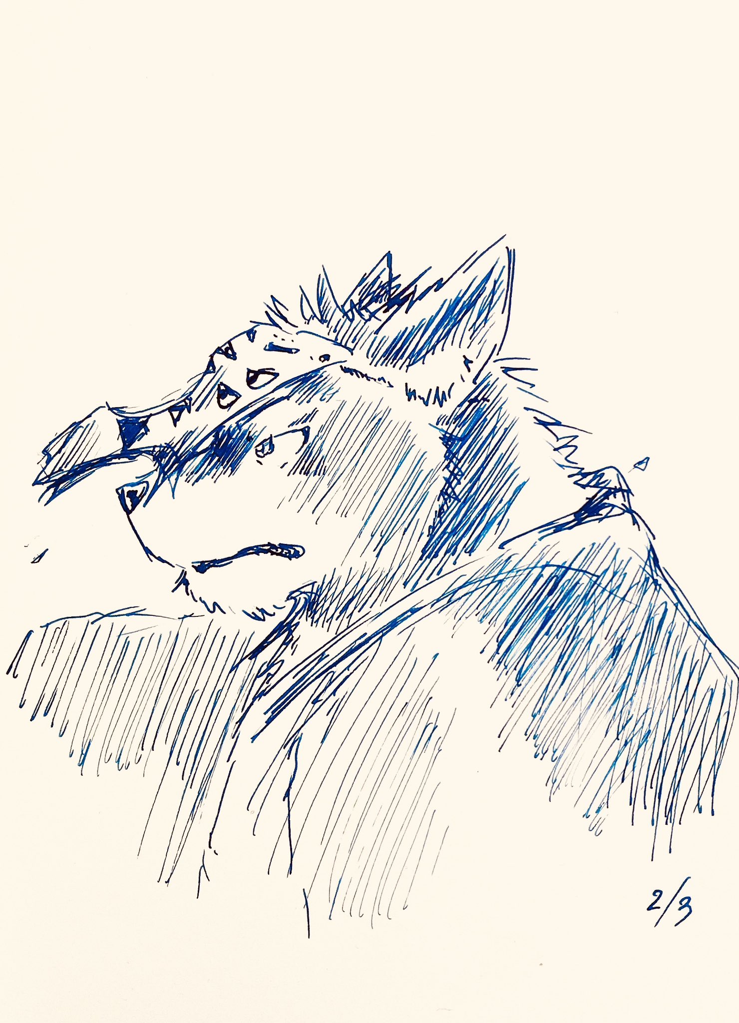 Artwork by 熊塚むぎ🌾