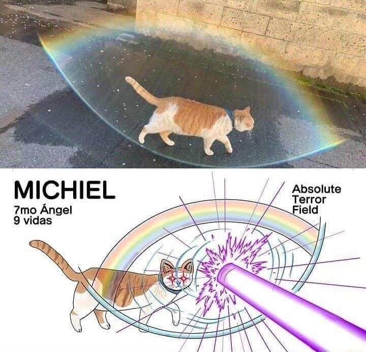 Artwork by cats who share one braincell