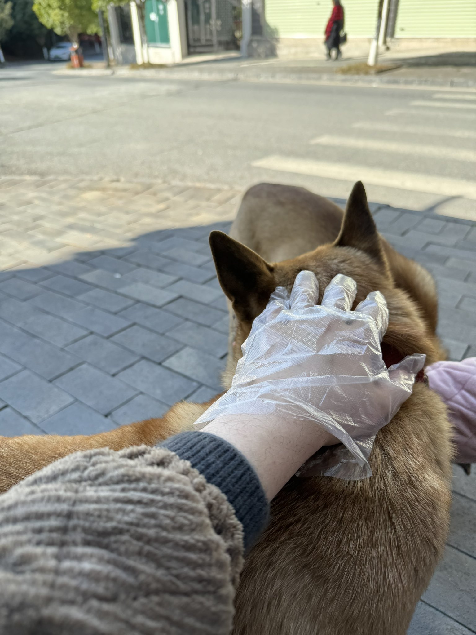 Artwork by 雪千羽Snowfox