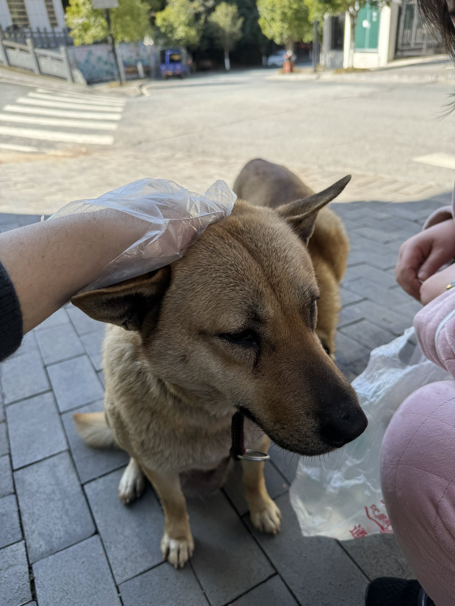 Artwork by 雪千羽Snowfox