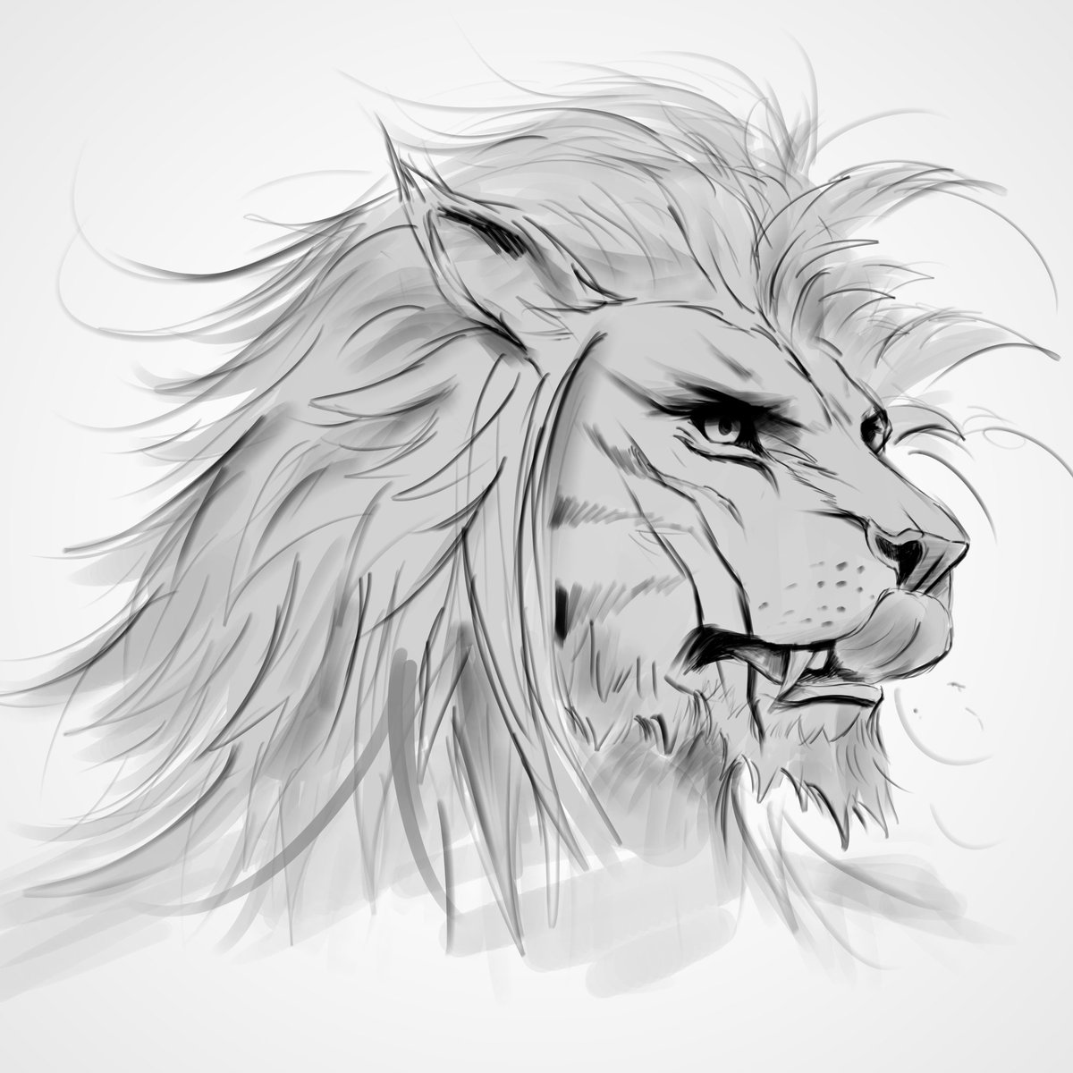 Artwork by Dongo