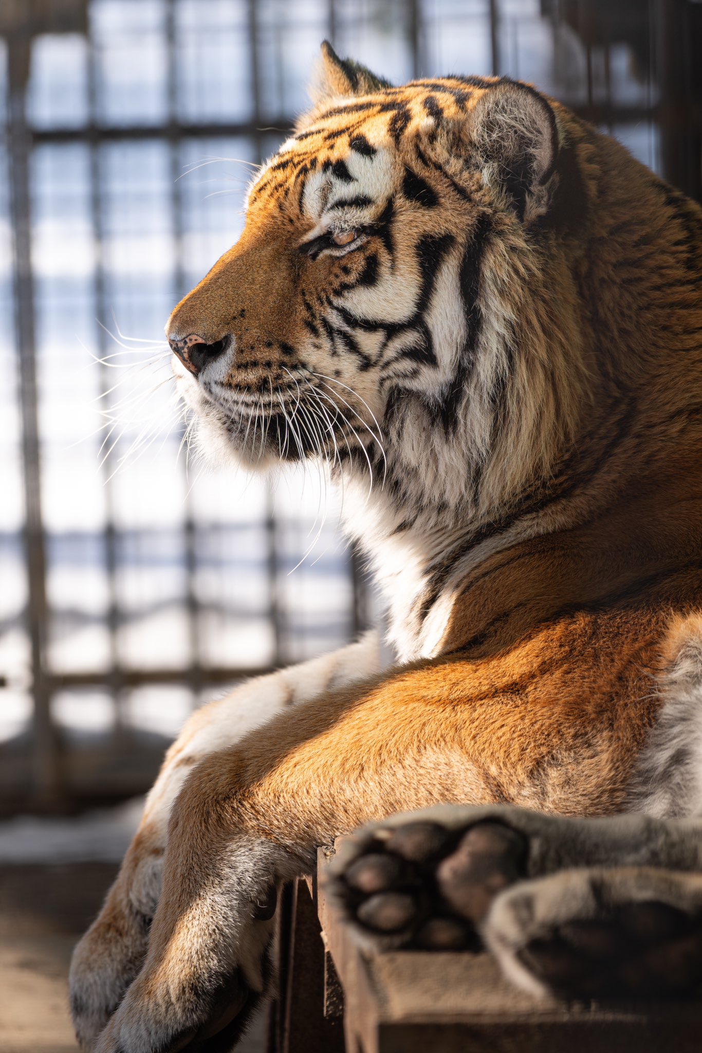 Artwork by じんせい