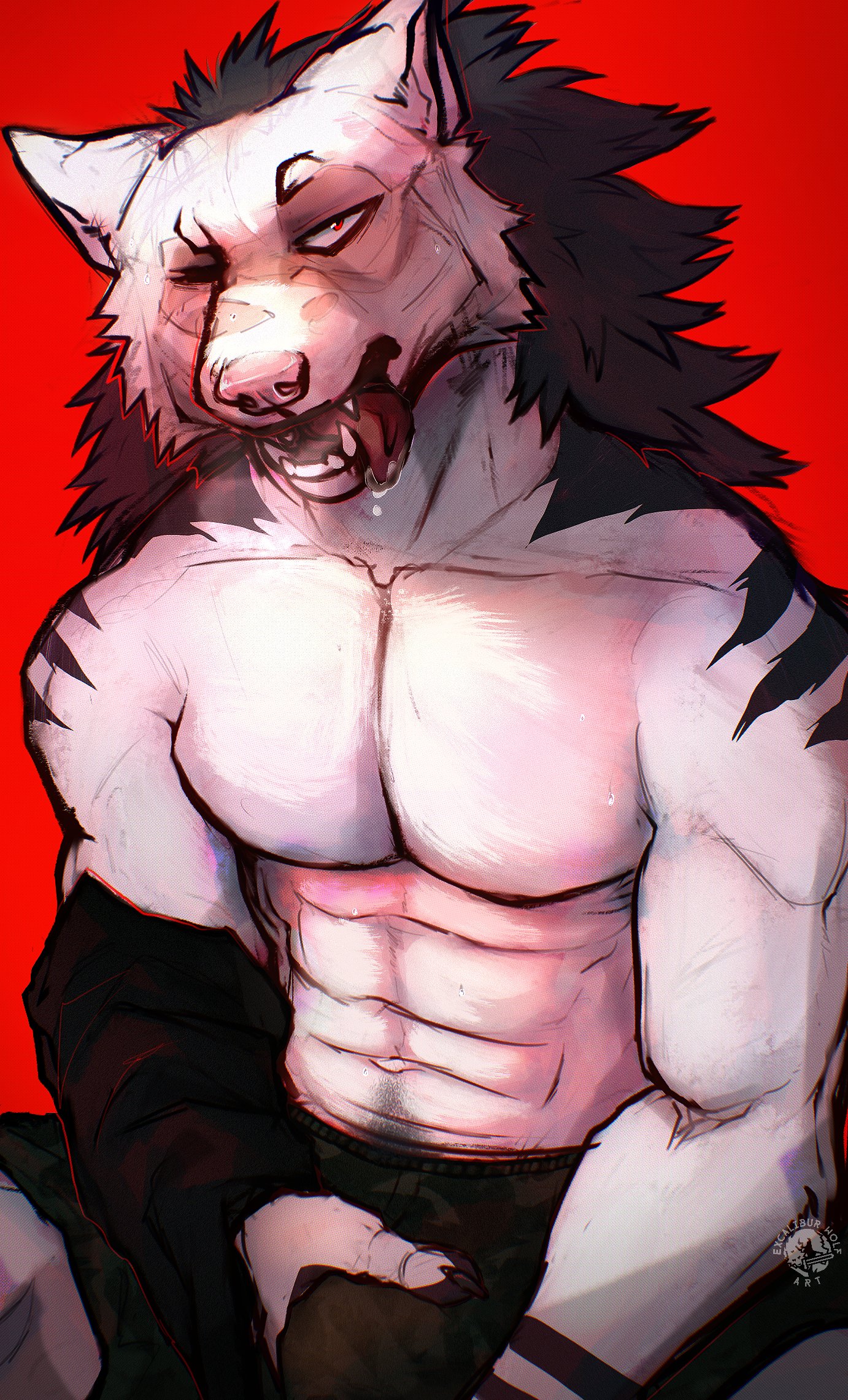 Artwork by eхcalιвυrwolғ