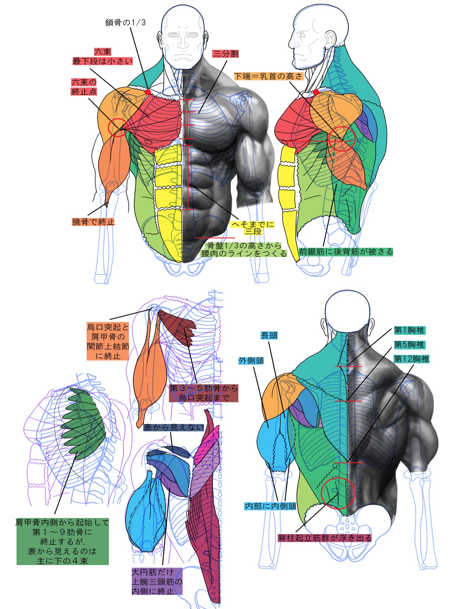 Artwork by 山本四角