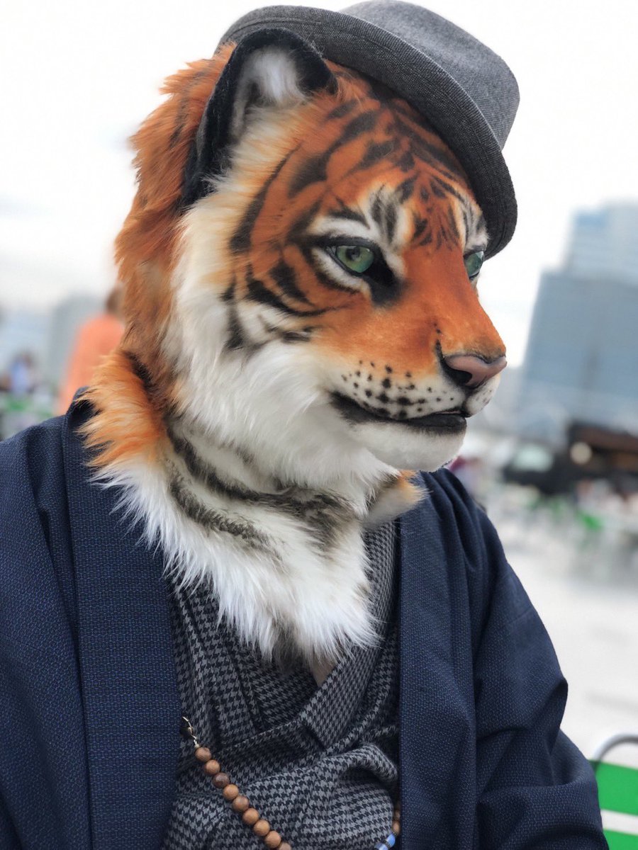 Artwork by 芳虎🐅