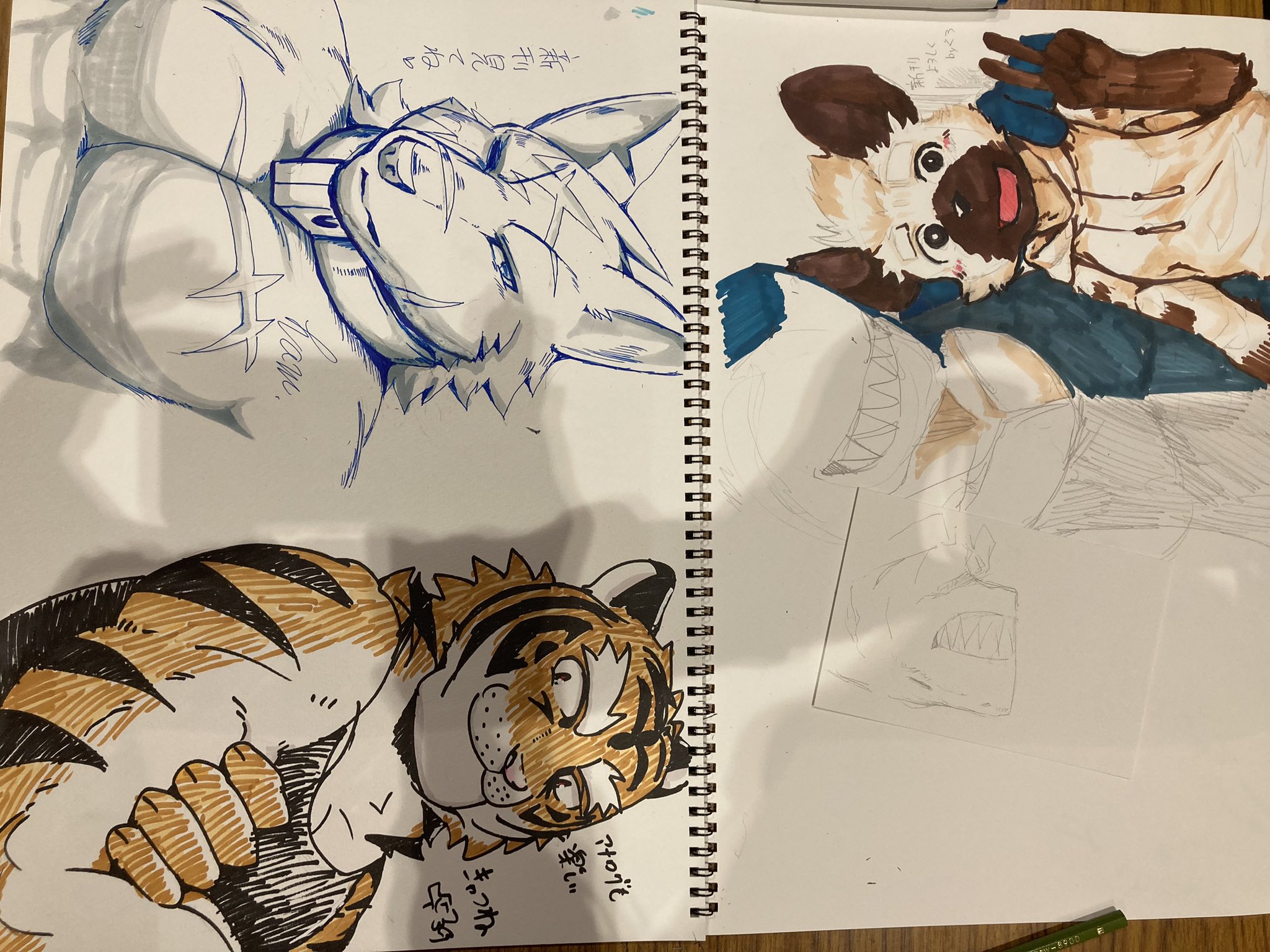 Artwork by きゃつね @関けも【K-23】