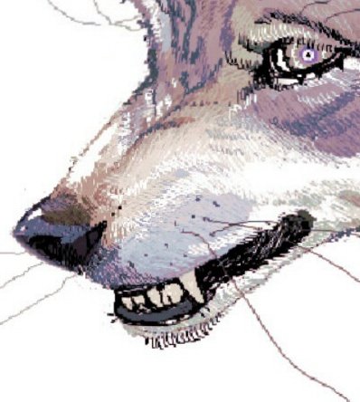 Artwork by 𝗢𝗞𝗜𝗜𝗜