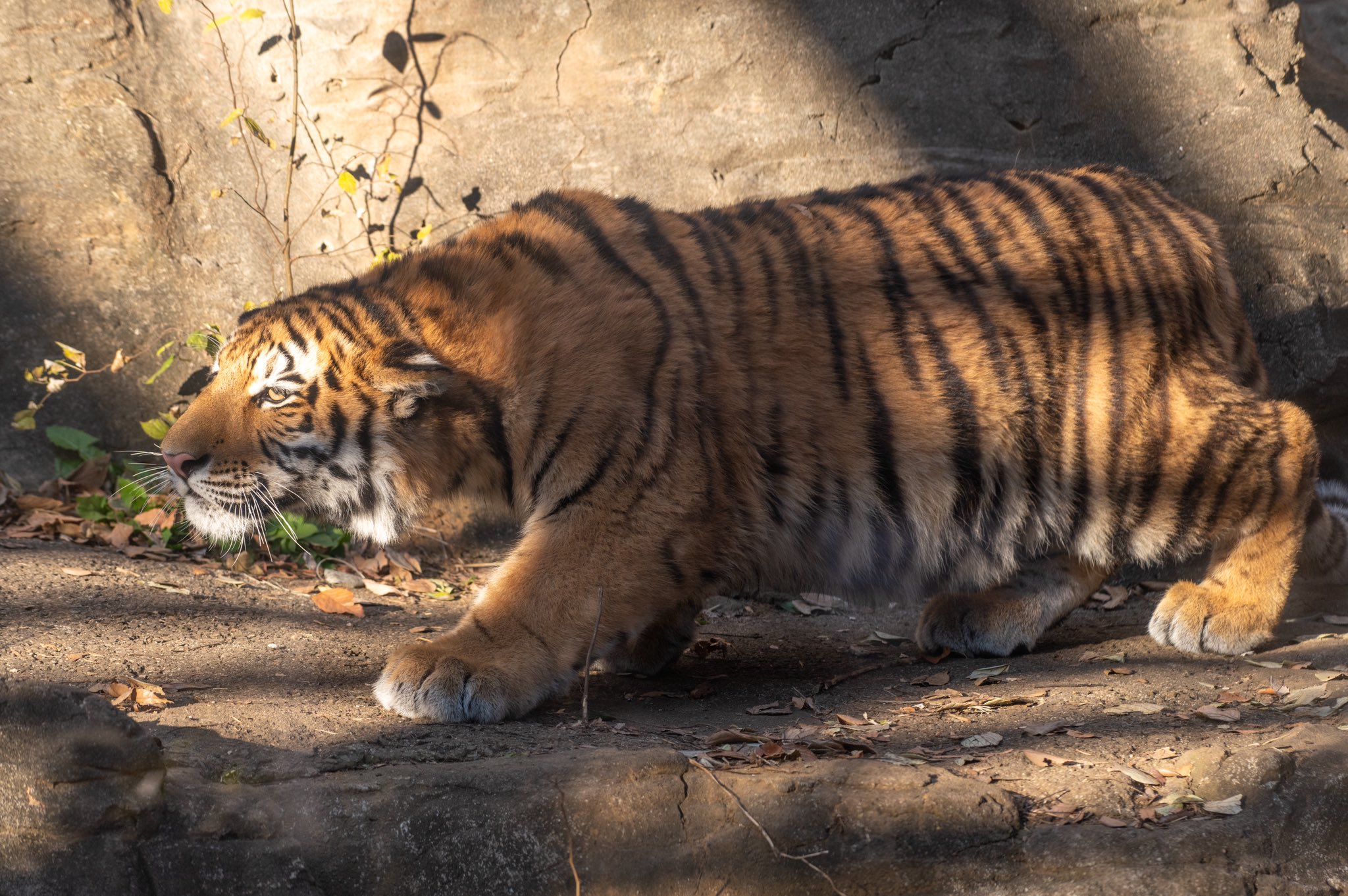 Artwork by じんせい