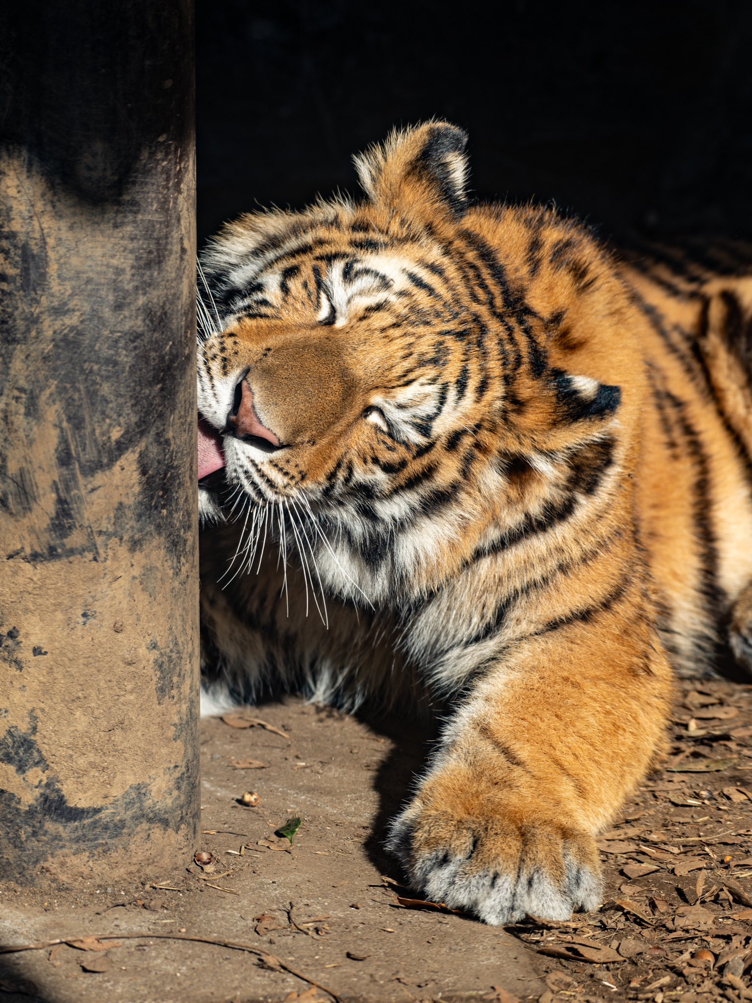 Artwork by じんせい