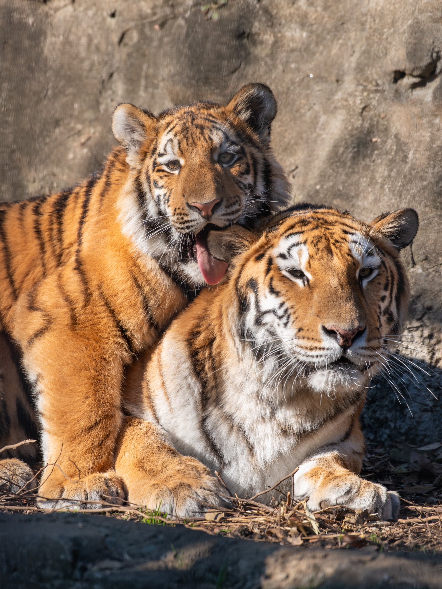 Artwork by じんせい