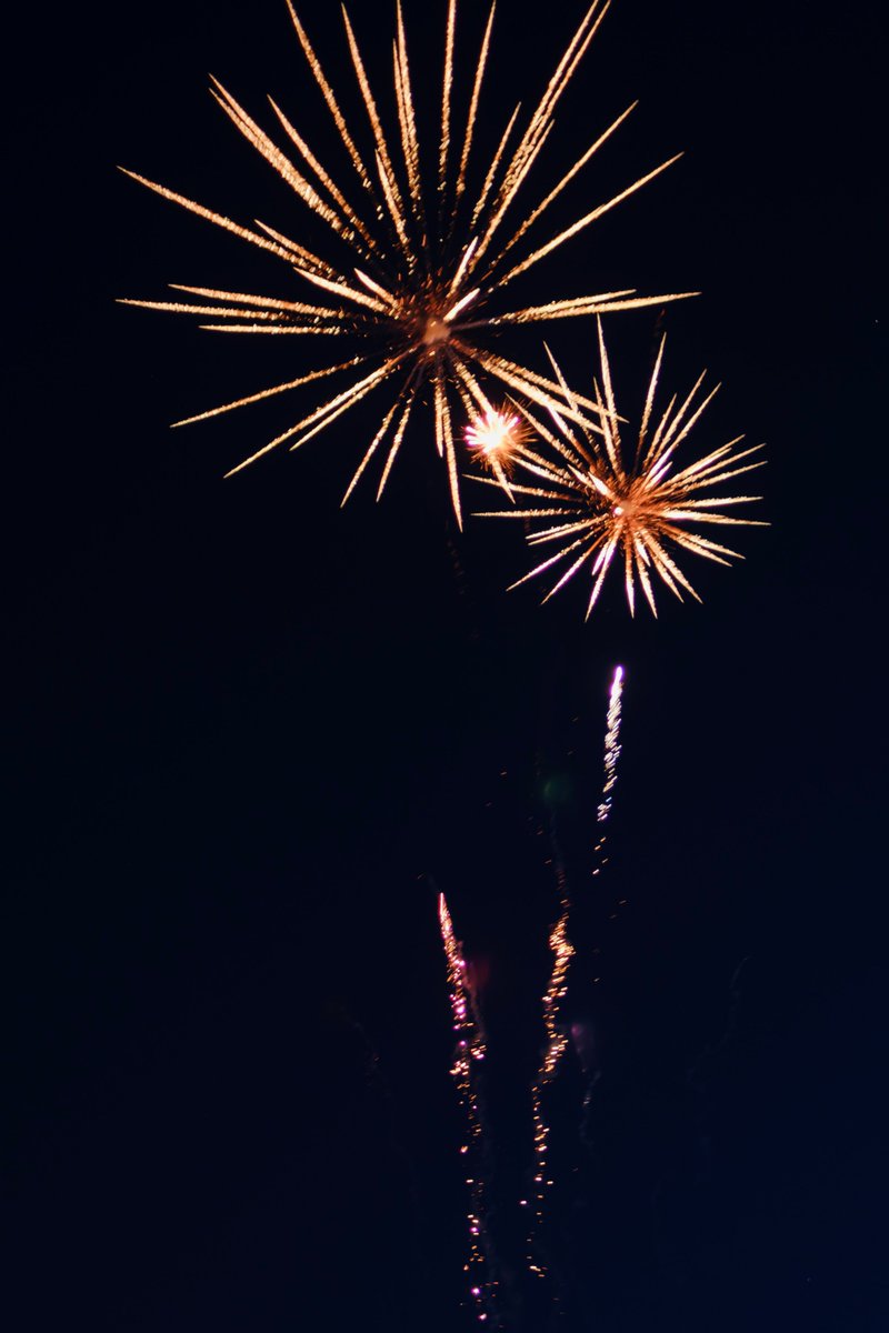 Artwork by Jesse Zhu @itjesse@tty.icu