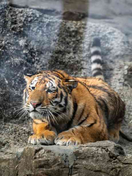 Artwork by じんせい