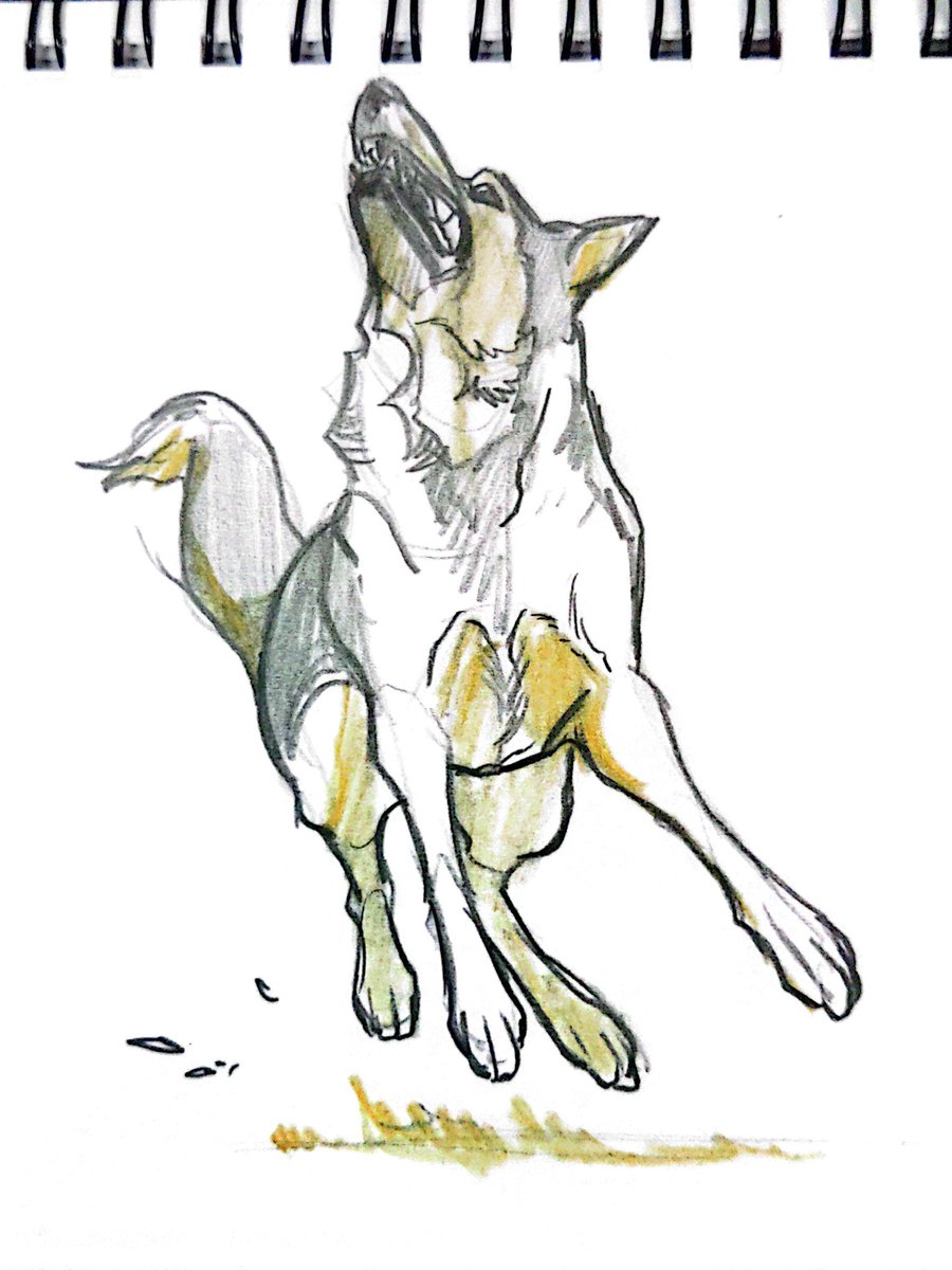 Artwork by 🏳️‍🌈ushigashira🏳️‍⚧️