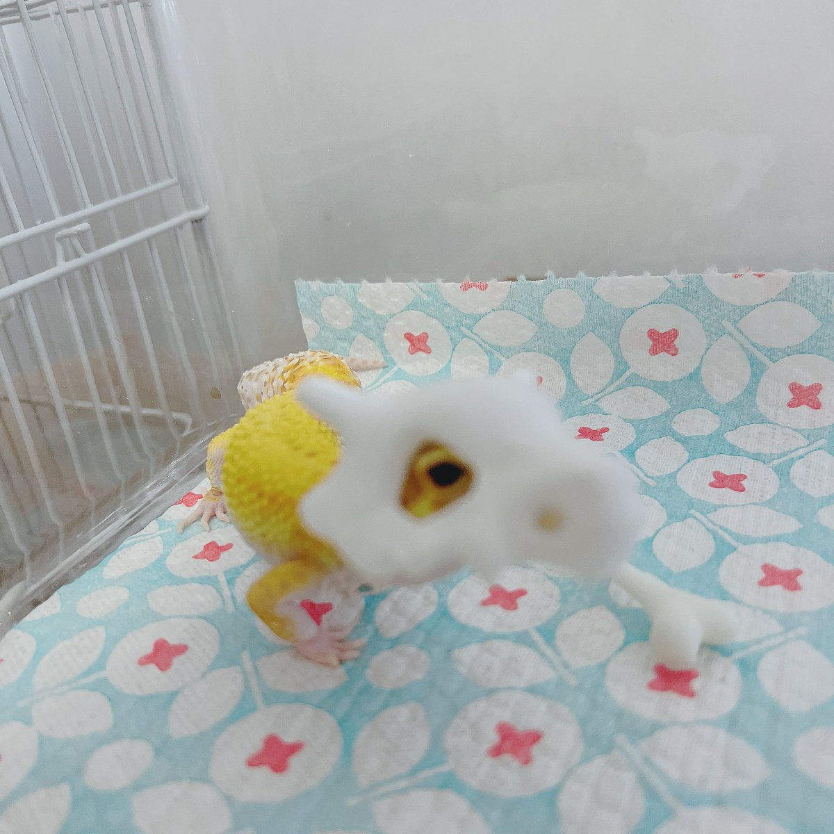 Artwork by 第二碗鱼饭-RK800#51