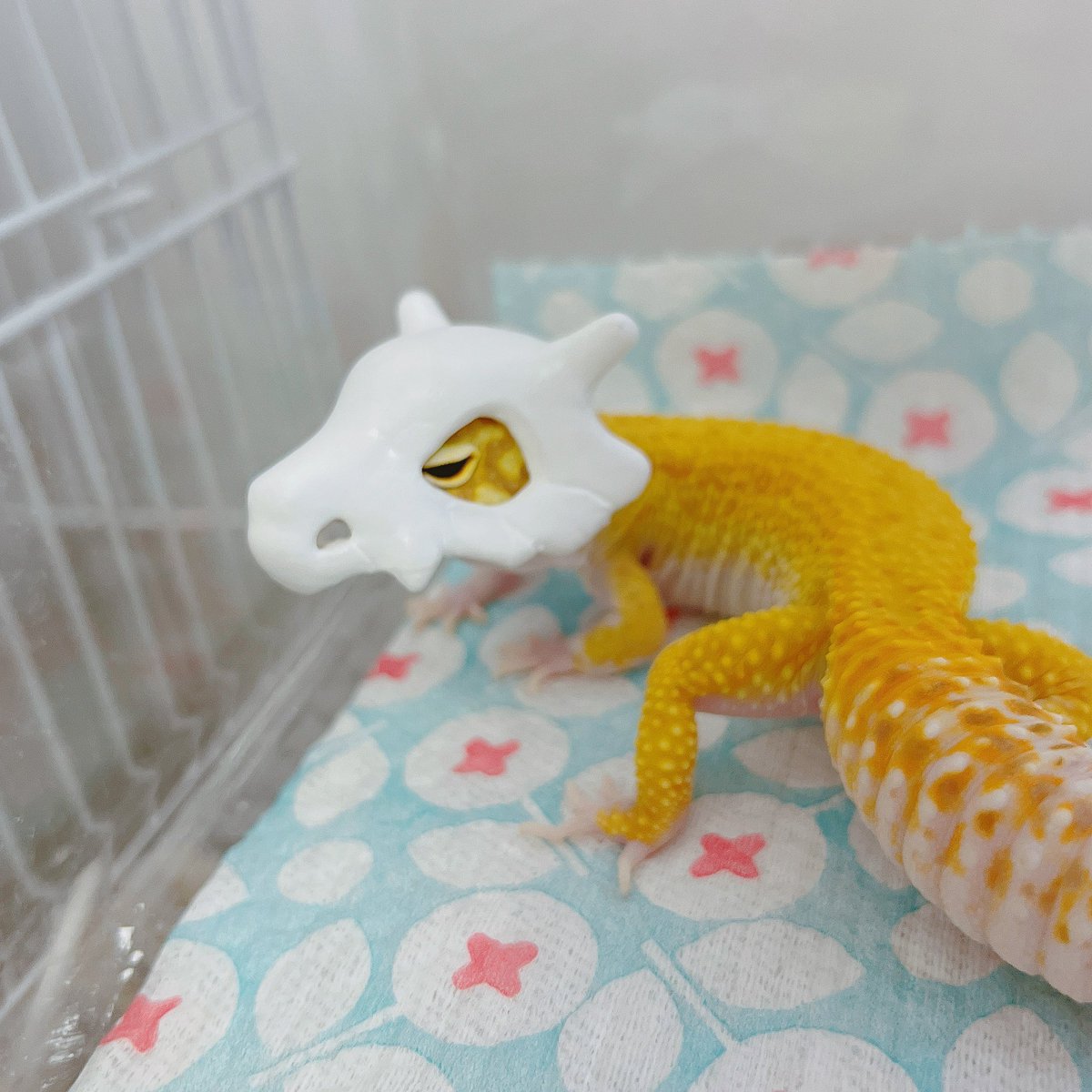 Artwork by 第二碗鱼饭-RK800#51