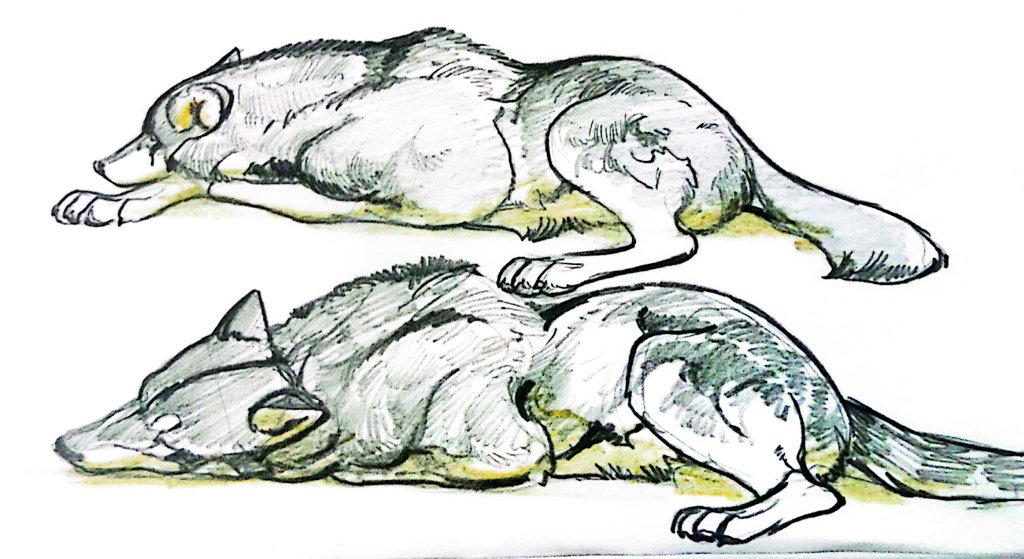 Artwork by 🏳️‍🌈ushigashira🏳️‍⚧️