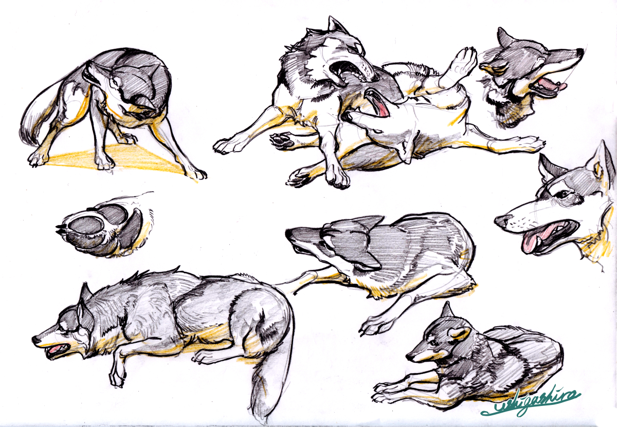 Artwork by 🏳️‍🌈ushigashira🏳️‍⚧️