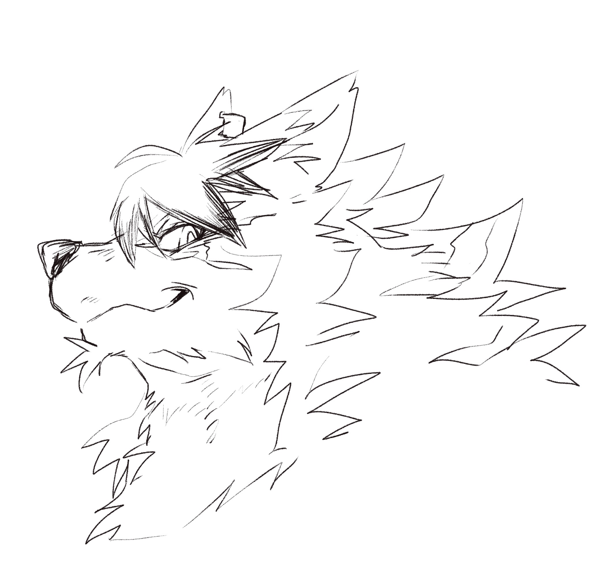 Artwork by みかん🍊椪柑@ 🔜FurMIT