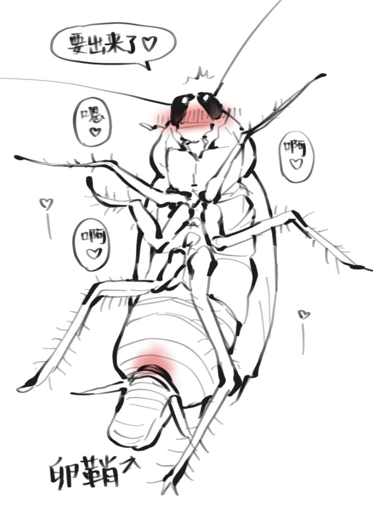 Artwork by STAR_Yoshi_