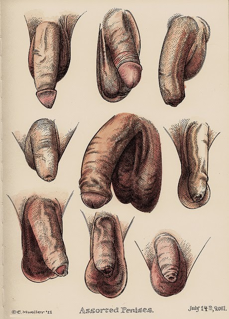 Artwork by Old Masculinity ♂️