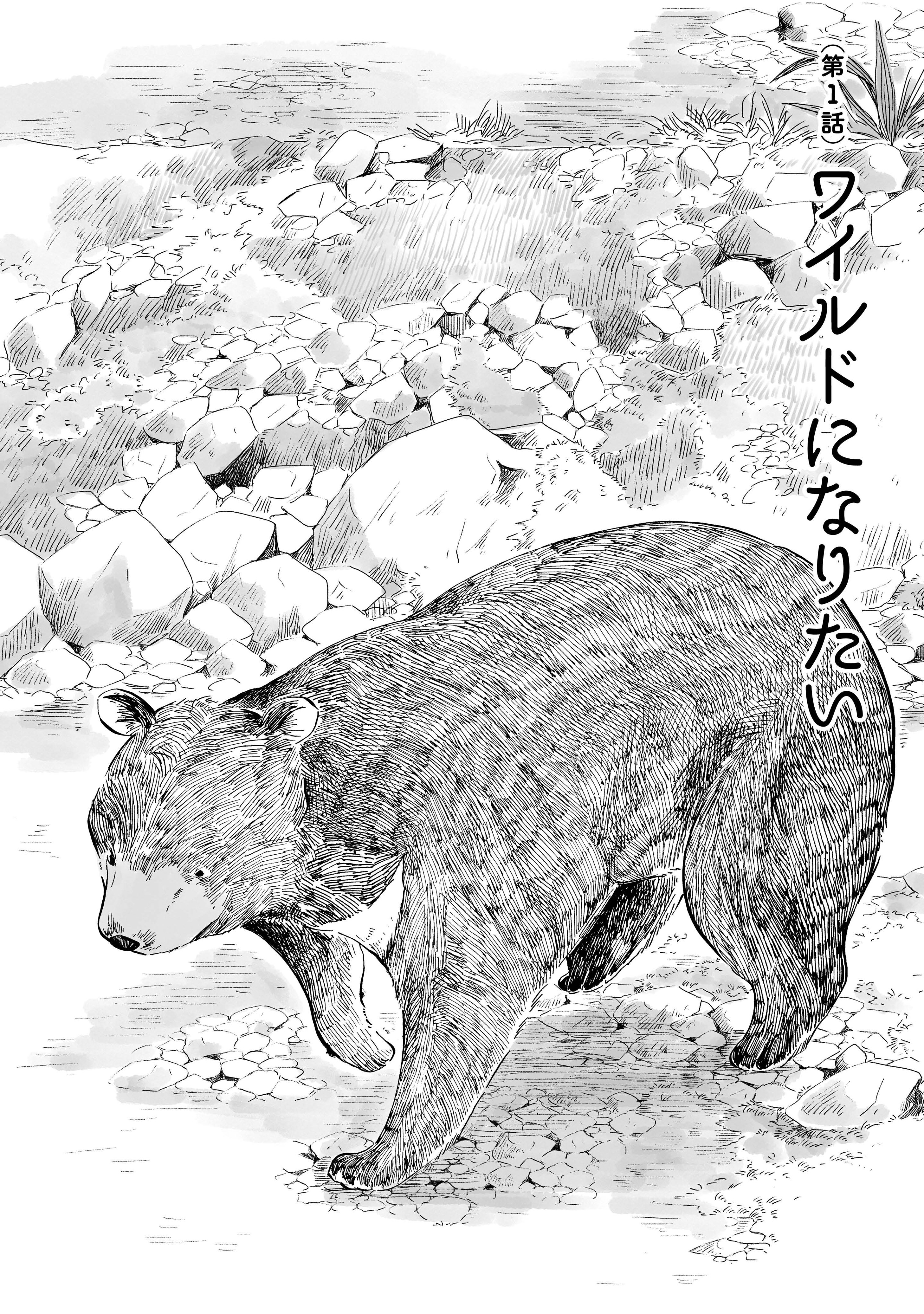 Artwork by 佐倉イサミ🔰もふっとキャンプ④10/11発売🏕️